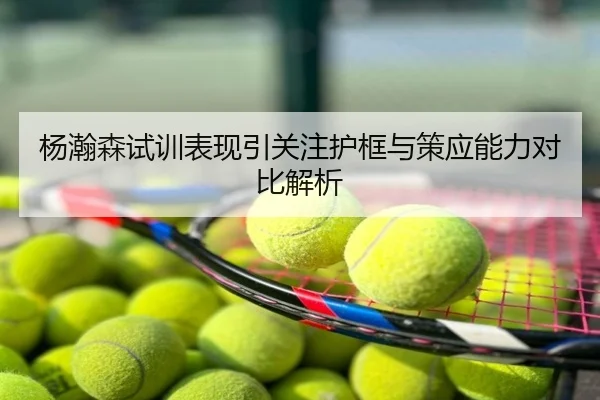 杨瀚森试训表现引关注护框与策应能力对比解析